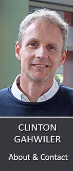 Clinton Gahwiler : Performing Mind